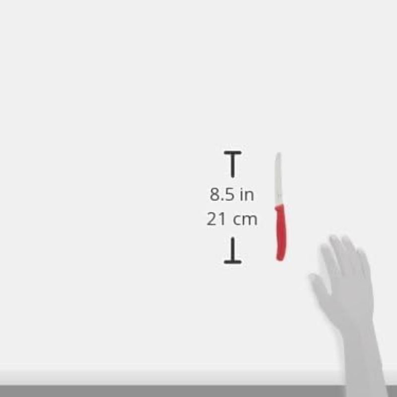 Victorinox Table Knife 6-Piece Set - Colour Set - DPC