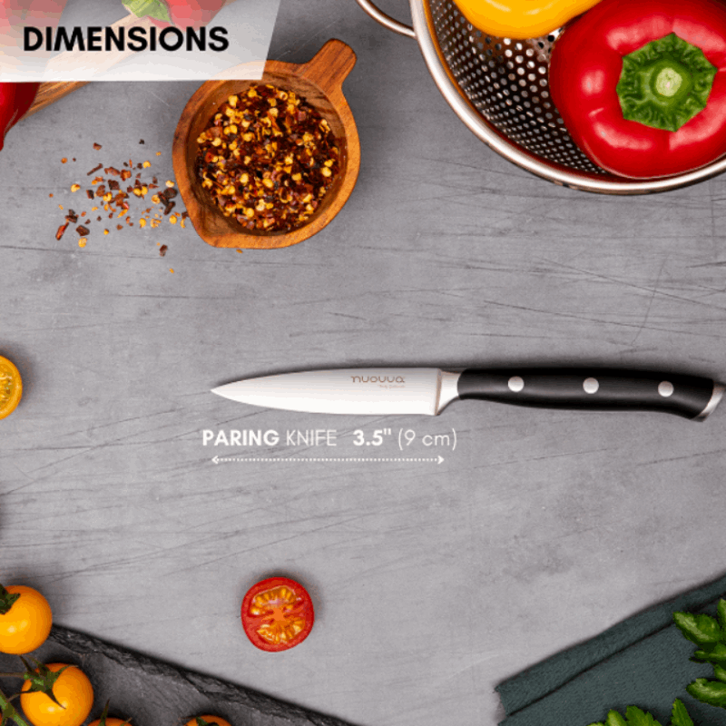High Carbon Stainless Steel Paring Knife - 3.5 Inch by Nuovva