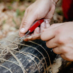 Victorinox Small Toothpick (6 Pcs)