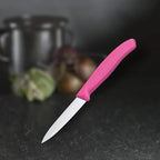 Victorinox  Straight Edge Paring Knife | Green, Pink, Yellow and Orange | 8 cm