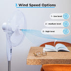 Oscillating 3-Speed Pedestal Fan (16inch) Black/White