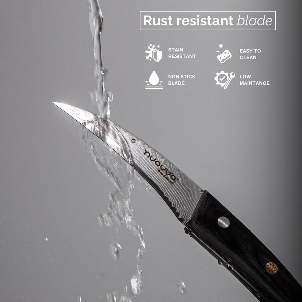 Japanese Steel 67-Layer Damascus Paring Knife with Pakkawood Handle, by Nuovva